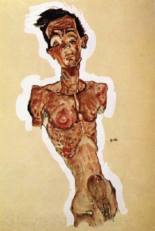 Egon Schiele Nude Self portrait Norge oil painting art